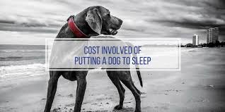 Pet cremation services serves las vegas, henderson, boulder city, and pahrump, nevada. How Much Does It Cost To Put A Dog To Sleep