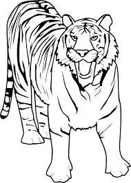 Tiger Coloring And Drawing Print Zoo Animal Coloring Pages Animal Coloring Pages Tiger Drawing For Kids