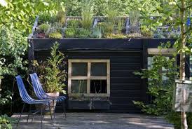 Tiny House Design Living Roofs Roof Design Green Roof