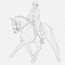 Check spelling or type a new query. Bridle Rein Bit Mustang Halter Dressage Horse Horse Tack Png Pngegg