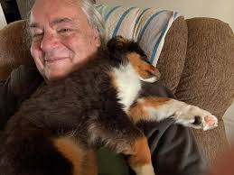 Puppy snuggles and falls asleep