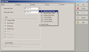 printing a gantt chart in primavera p6