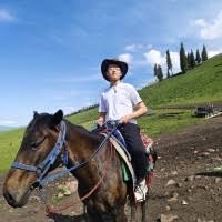 Zhenyu W. - TikTok | 领英