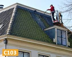 Cela évite le développement des végétaux. Produits De Nettoyage Et Anti Mousse Pour Les Toitures