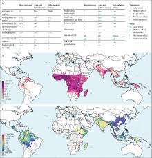 It is most common in tropical climates. Deleterious Effects Of Malaria In Pregnancy On The Developing Fetus A Review On Prevention And Treatment With Antimalarial Drugs The Lancet Child Adolescent Health