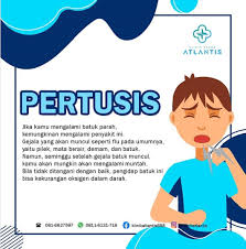 Pin Di Klinik Atlantis Medan