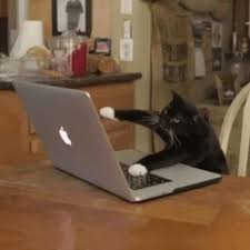 Browse latest funny, amazing,cool, lol, cute,reaction gifs and animated pictures! 7 Tips For Wfh Efficiently Adaface Coronavirus Outbreak