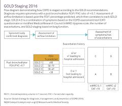 Image result for COPD Staging