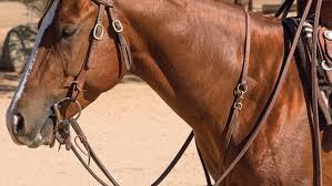 Selecting A Western Breast Collar Horse Rider
