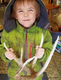 Matthew Forster Obituary