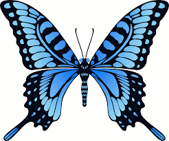 Flying Blue Butterfly Animation By Cencerberon On Deviantart Butterfly Gif Butterfly Clip Art Beautiful Butterflies