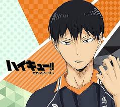 The septum rabbits, as well as a member of the team japan men's skating team during the 2021 winter olympics. Top 10 Most Beloved Haikyuu Characters Best List Haikyuu Anime Haikyuu Kageyama Tobio
