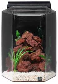 We're glad to help with fish compatibility, disease diagnosis, livestock/plant issues and other. Amazon Com Seaclear 20 Gal Deluxe Hexagon Acrylic Aquarium Combo Set 15 By 15 By 24 Clear Acrylic Fish Tank Pet Supplies
