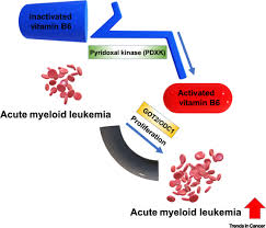 The term refers to a group of chemically similar compounds, vitamers, which can be interconverted in biological systems. Vitamin B6 Fuels Acute Myeloid Leukemia Growth Trends In Cancer