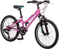 Amazon Com Schwinn High Timber Youth Adult Mountain Bike Aluminum And Steel Frame Options 7 21 Speeds Options 24 29 Inch Wheels Multiple Colors Sports Outdoors