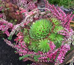 Allerheiligen Ausstellung Und Verkauf Garten Prentl Allerheiligen Grabschmuck Allerheiligen Und Grabgestaltung Allerheiligen