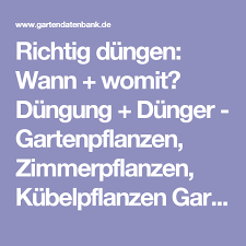 4.4 wie lange müssen rosen gedüngt werden? Richtig Dungen Wann Womit Dungung Dunger Gartenpflanzen Zimmerpflanzen Kubelpflanzen Gartenarbeiten Richtig Dun Gartenpflanzen Pflanzen Kubelpflanzen