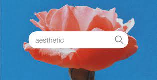 That is to say that preferences spawn from personal aesthetics. Aesthetic What Does It Actually Mean And How You Can Find Your Own Aesthetic Buro 24 7 Malaysia