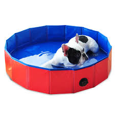Kleinere hundebadewannen aus kunststoff kannst du auf einen tisch stellen, um bequem zu arbeiten. Faltbare Haustier Hund Schwimmen Pool Bad Badewanne Pool Fur Hunde Katzen Reiniger Bad Eimer Badewanne Reinigung Haustier Katze Hund Reiniger Zubehor Cat Crates Cages Aliexpress
