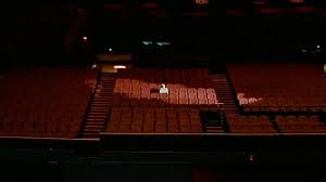 Billie eilish delivers introspective new album 'happier than ever': Billie Eilish Happier Than Ever Trailer Object Animal