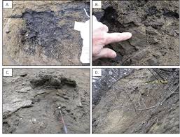 One meter is approximately equal to 39.39 inches. Photographs Showing Selected Features In The Upper 50 Meters 164 Feet Download Scientific Diagram