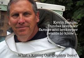 What's killing our country bees?