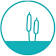 ClearView Healthcare Management logo