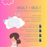 molt + bolt: monthly discounted rabbit grooming