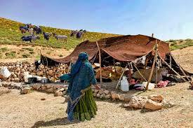 نتیجه جستجوی لغت [nomadic] در گوگل