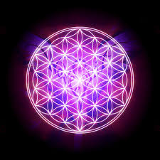 Download the perfect flower image on burst. 48 Flower Of Life Wallpaper On Wallpapersafari