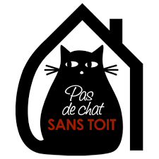 Pas De Chat Sans Toit Adopter Parrainer Famille D Accueil