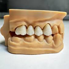 Image result for ochrana chrupu