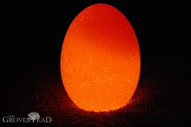 I don't like saggy eggs, too soft or gooey.i like it fresh, firm.runny but rigid.easier to handle, makes me want to nibble and nibble. Candling Eggs The Grovestead