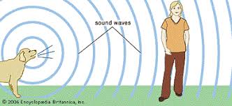 Traveling Sound Activity Teachengineering