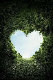 Pin By Jason Devon On Romantic Heart In Nature Beautiful Nature Nature