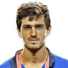 Pierre Hugues Herbert