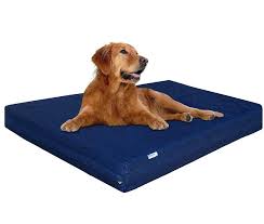 Choose from cozy bolster beds and heated options to keep your pet warm. Dogbed4less Xl Waterproof Orthopedic Memory Foam Dog Bed For Large Dogs Durable Washable Denim Cover And Extra Pet Bed Cover Fits 48x30 Crate Pet Supplies For Dogs Dog Accessories On Carousell