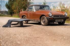 Image result for Russet 1979 MG