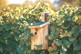 Gardening Leave Pay 1273 Bird Houses Diy Raised Bed Garden Design Garden Ideas On A Budget Uk
