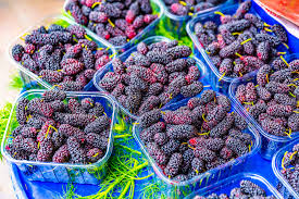 Tirek claims that he answered all of cozy glow's questions about draining magic because he was bored. Mulberries How To Grow This Coveted Fruit The English Garden