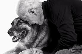 A secret service official tells me the dog nipped an agent's hand and no skin. Joe Biden Is The Dog Lovers Candidate Says This Ad Full Of Former Presidents And Their Furry Friends Ad Age