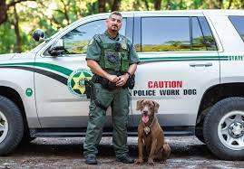 Detection Dogs: The Nose Knows - Ocala Style Magazine