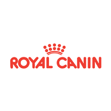 Distributor Makanan Kucing Makanan Kucing Resep Makanan Kucing Makanan Anjing