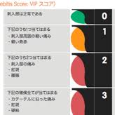 Vip Score