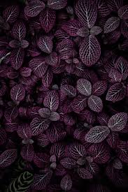 Tons of awesome dark purple background to download for free. 60 Great Purple Wallpapers For Your Desktop Smartphone Inspirationfeed