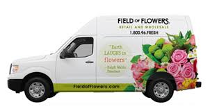 You can see how to get to field of flowers on our website. Boca Raton Florist Davie Local Florist Boca Raton Local Flower Delivery Field Of Flowers