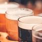 S'more Hops & Cider Please
