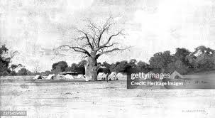 113 Regiment Of Bombay Infantry Stock ...
