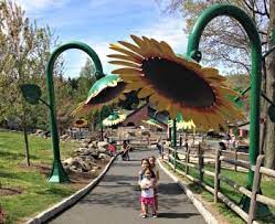 Barista Kids Tag Archive Turtle Back Zoo South River Giant Flowers Public Art