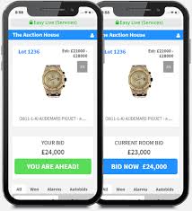 Online Auction Live Bidding - Fast, Reliable, User-friendly | Easy Live  Auction